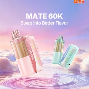 Geek Bar Mate 60K KIT